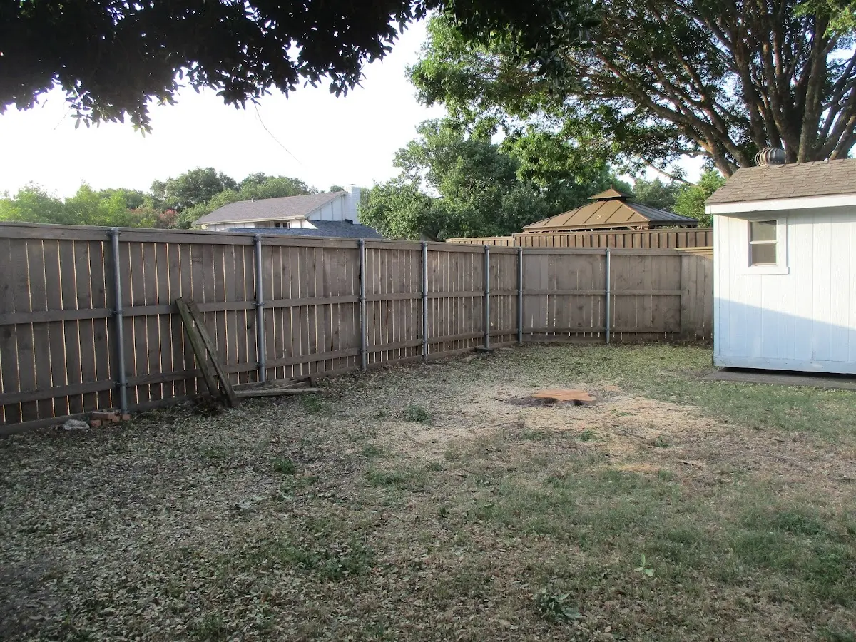 Cleared yard after professional tree removal in Farwell